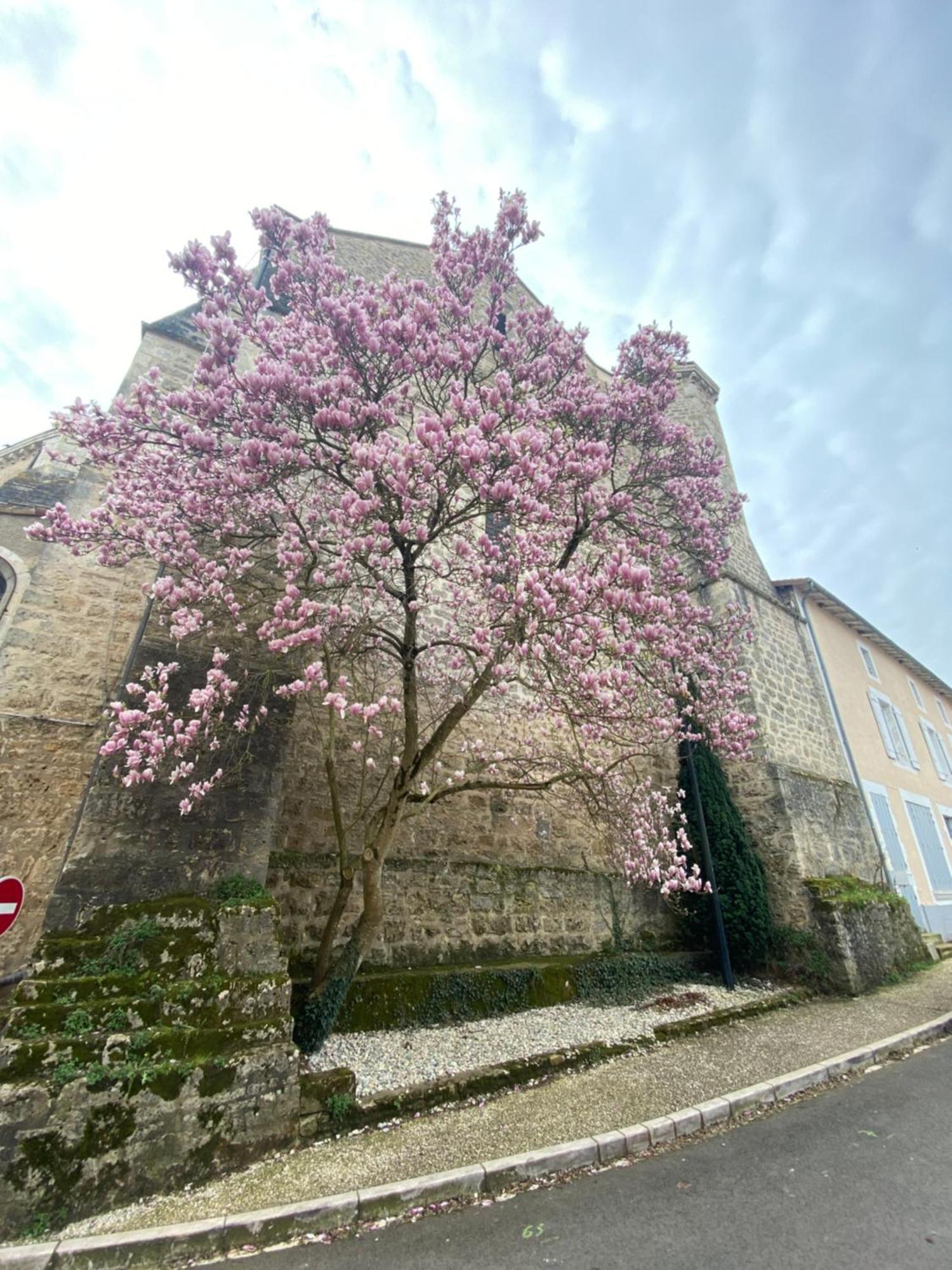 Logis Hotel Le Saint Georges Vivonne Bagian luar foto